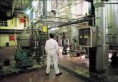 /album/galeria/planta-quimica-jpg/